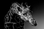 Picture of GIRAFFE