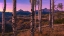 Picture of ASPEN FRAMES