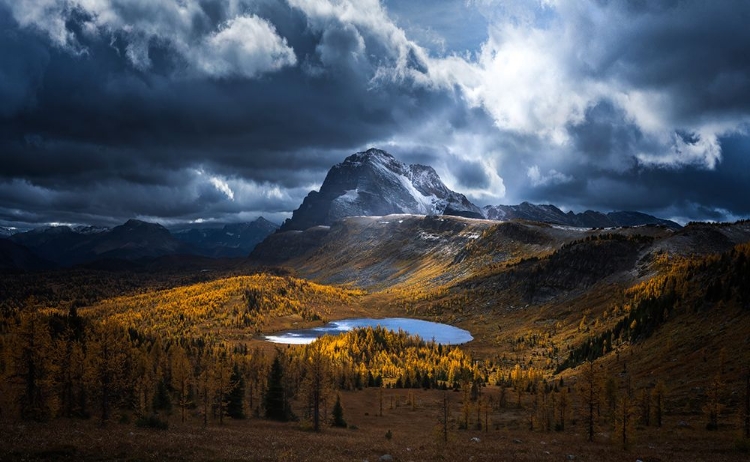 Picture of HEALY PASS GOLDEN TIME