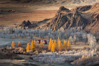Picture of OASIS IN THE MOUNTAINS (ALTAI)
