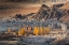 Picture of OASIS IN THE MOUNTAINS (ALTAI)
