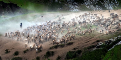 Picture of THE GREAT MIGRATION OF KAZAKH
