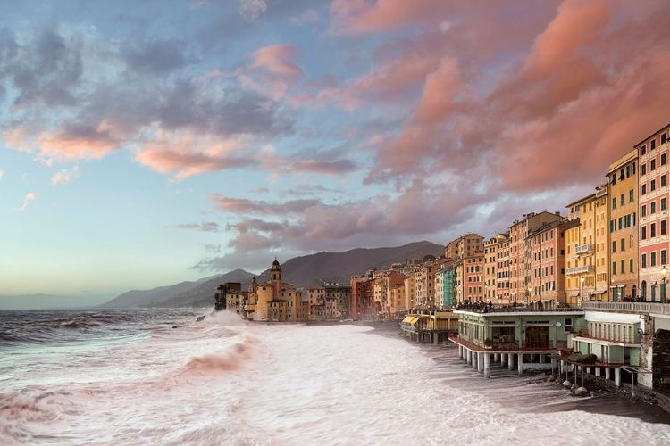 Picture of CAMOGLI