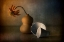 Picture of UNTITLED