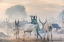 Picture of DINKA HERDER