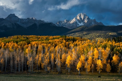 Picture of MT SNEFFELS IN AUTUMN
