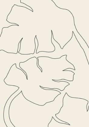 Picture of MONSTERA OUTLINE