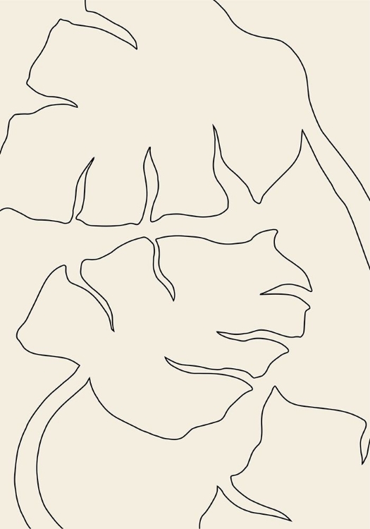 Picture of MONSTERA OUTLINE