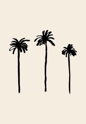 Picture of PALM TREES