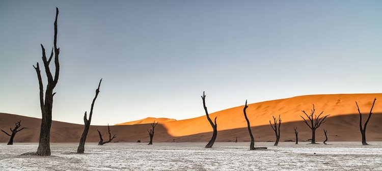 Picture of NAMIBIAN DESERT