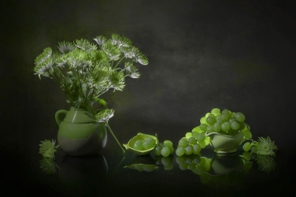 Picture of CHRYSANTHEMUM AND GRAPE