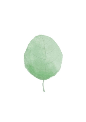 Picture of SINGLE LEAF