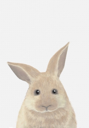 Picture of RABBIT