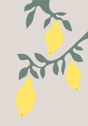 Picture of LEMONS