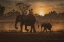Picture of FOLLOW ME