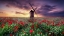 Picture of SPRING BY THE WINDMILL