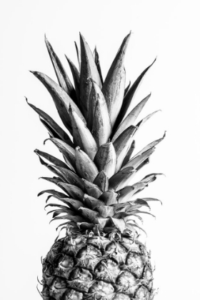 Picture of PINEAPPLE BLACK A WHITE 01