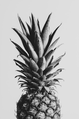 Picture of PINEAPPLE BLACK A WHITE 02