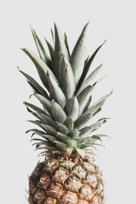 Picture of PINEAPPLE NATURAL