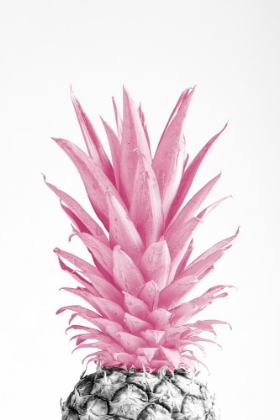 Picture of PINAPPLE PINK 03