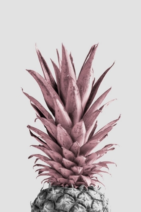 Picture of PINEAPPLE PINK 04