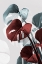 Picture of MONSTERA CREATIVE 15