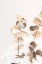 Picture of EUCALYPTUS CREATIVE GOLD 01
