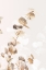 Picture of EUCALYPTUS CREATIVE GOLD 02