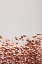 Picture of DRIED GRASS COPPER 04