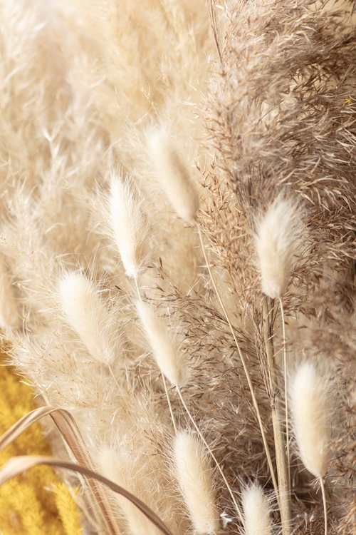 Picture of DRIED BOUQUET