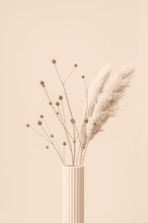 Picture of THISTLE A PAMPAS BEIGE