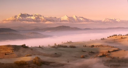 Picture of FOG TATRA