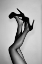 Picture of VELVET PUMPS