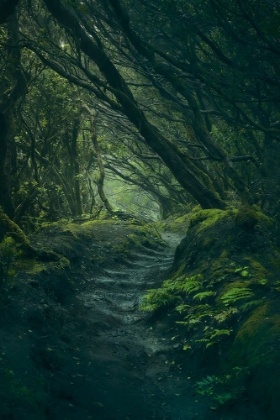 Picture of ENTERING FANGORN