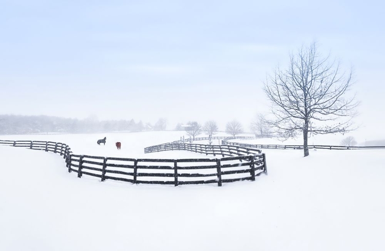 Picture of WINTER FARM