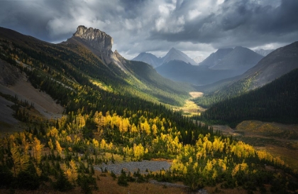 Picture of FALL OF SMUTWOOD VALLEY