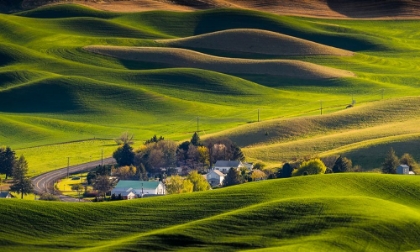 Picture of HOUSES IN THE FARM LAND