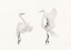 Picture of YOU AND ME