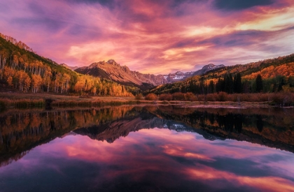 Picture of COLORADO FALL COLOR