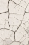 Picture of CLAY WALL_LIGHT SAND