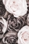 Picture of ROSES