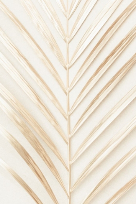 Picture of GOLDEN PALM LEAF