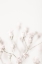 Picture of PINK SMALL FLOWERS