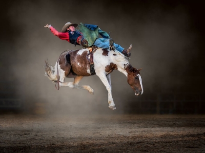 Picture of BUCKJUMPING