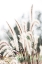Picture of GRASS