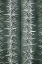 Picture of CACTUS GREEN