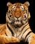 Picture of I C U