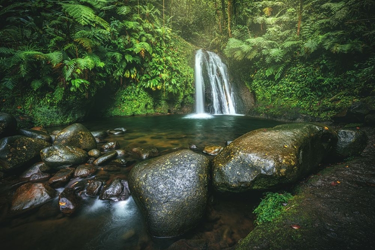 Picture of GUADELOUPE - CASCADE AUX A?CRIVISSES