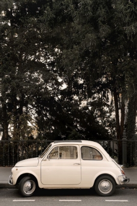 Picture of LITTLE CAR IN PARIS