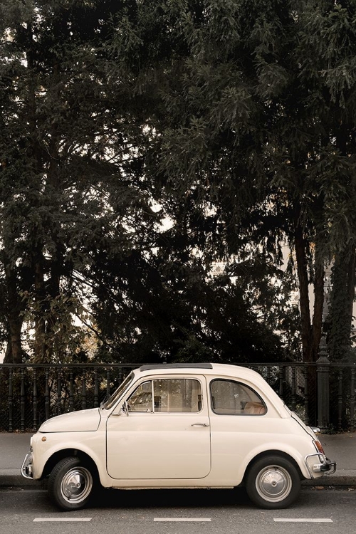 Picture of LITTLE CAR IN PARIS